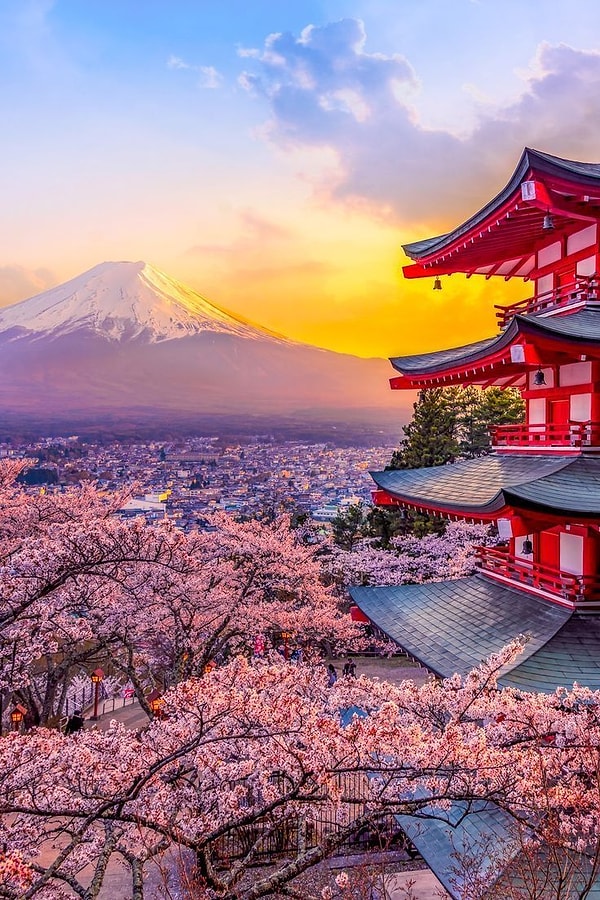 Japonya