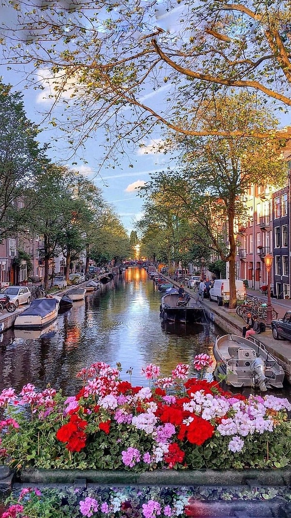 Hollanda
