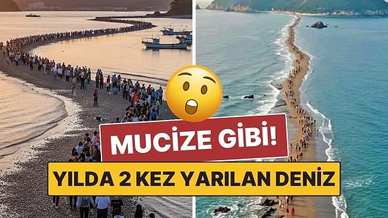 Resmen Mucize Gibi: Güney Kore’nin Yılda Sadece İki Kez Açılan Deniz Yarığı!