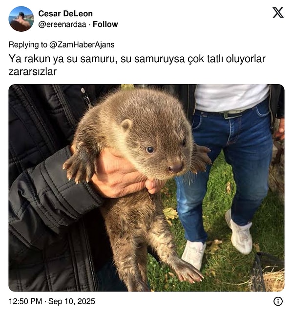 👇