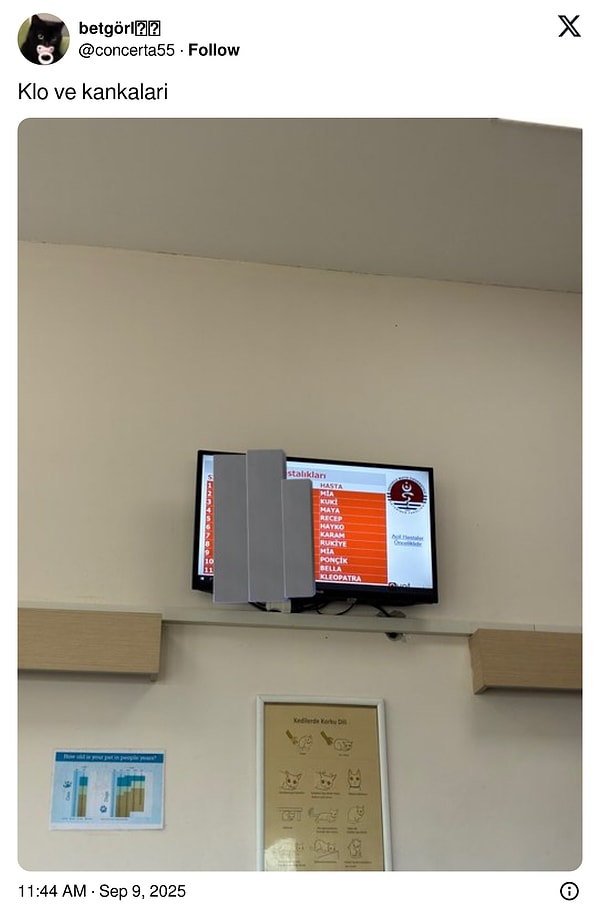 Bir X kullanıcısı, "Klo ve kankalari" diyerek gittiği veterinerin bekleme salonundan bu görseli paylaştı.