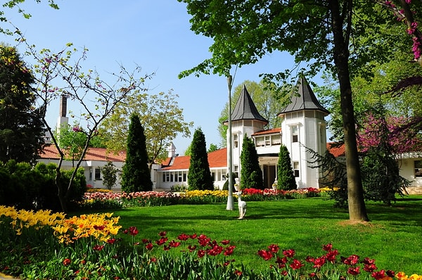 8. Beykoz Grove