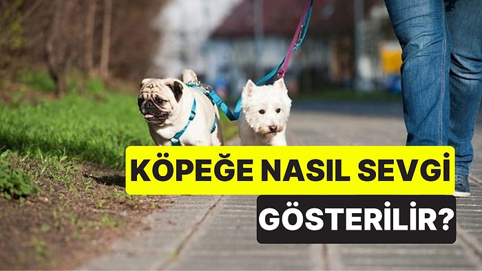 Veteriner Açıkladı: Köpeğinize Sevginizi Göstermenin 5 Yolu