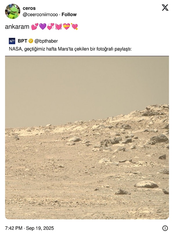Ankara olamaz, çift yok ekranda.