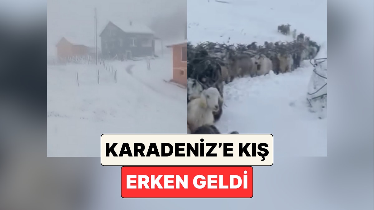 Kış Çok Erken Geldi: Trabzon, Rize ve Gümüşhane Yoğun Kar Yağışının Etkisiyle Beyaza Büründü