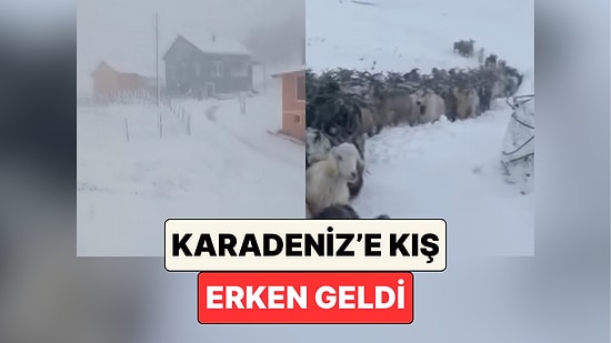 Kış Çok Erken Geldi: Trabzon, Rize ve Gümüşhane Yoğun Kar Yağışının Etkisiyle Beyaza Büründü