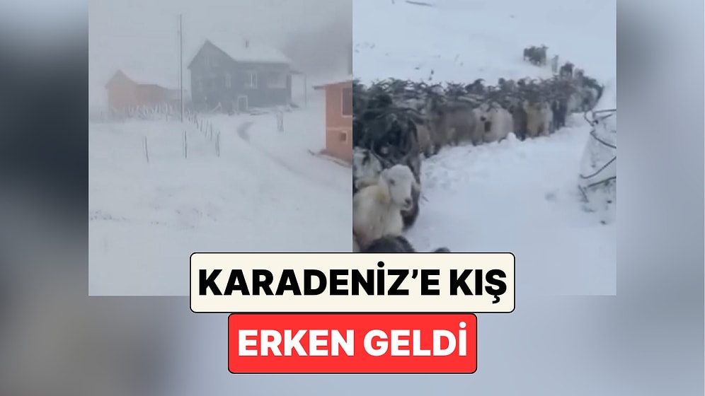 Kış Çok Erken Geldi: Trabzon, Rize ve Gümüşhane Yoğun Kar Yağışının Etkisiyle Beyaza Büründü