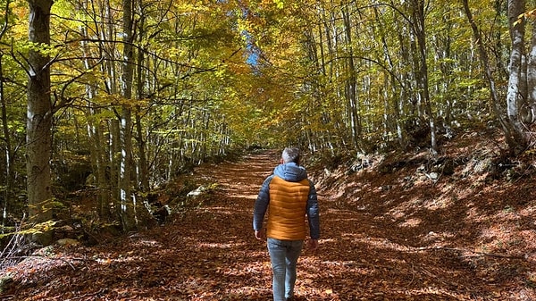 8. Küre Dağları