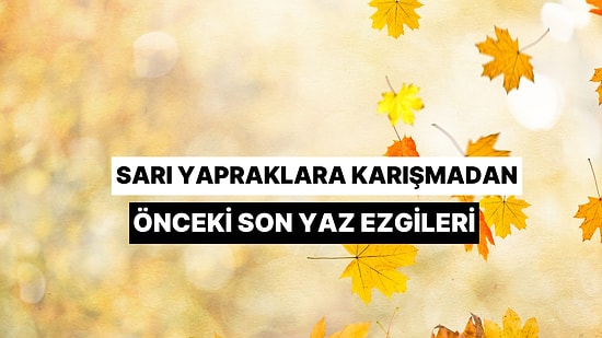 Sarı Yapraklara Karışmadan Önceki Son Yaz Ezgileri