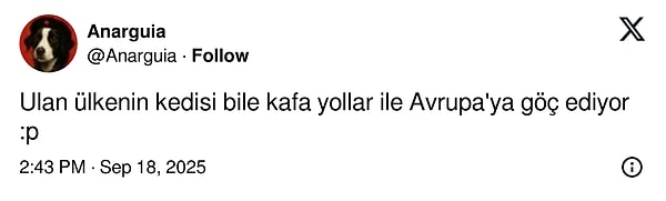 Siz neler düşünüyorsunuz?