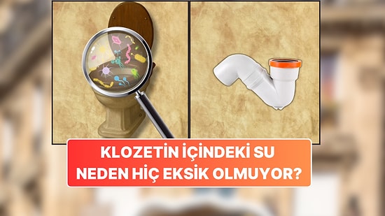 Klozetin İçinde Neden Hep Su Var? Meğer Sebebi Temizlik Değilmiş!