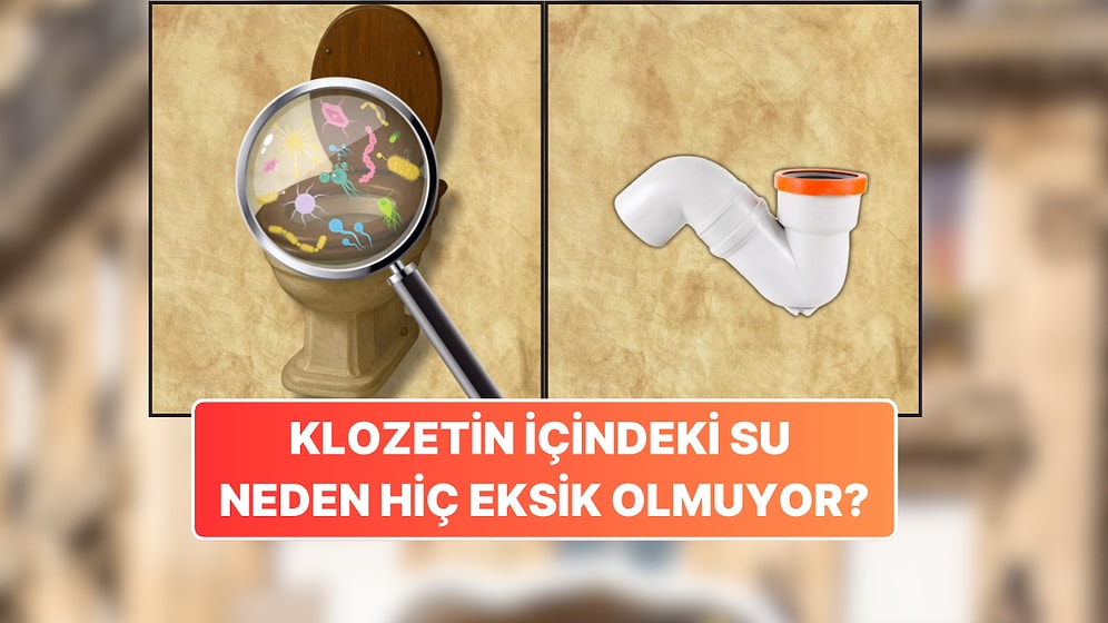 Klozetin İçinde Neden Hep Su Var? Meğer Sebebi Temizlik Değilmiş!