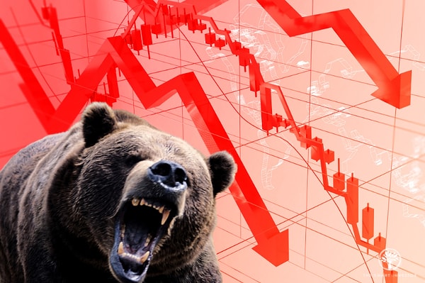Borsa Ayısı!