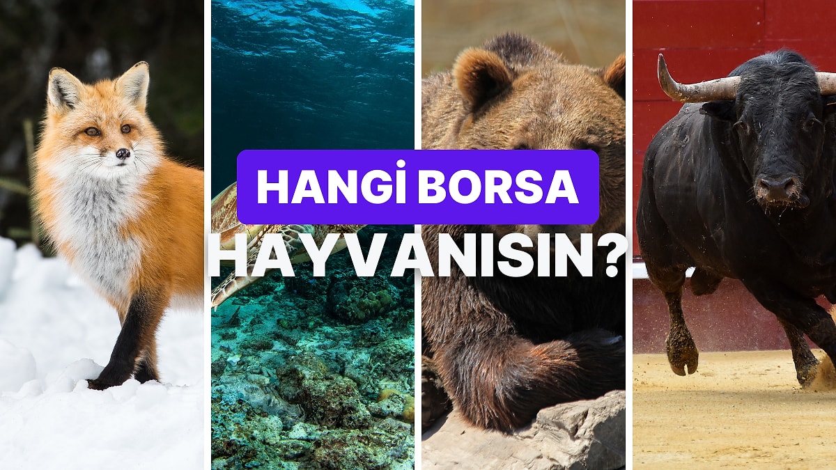 Senin Finansal Karakterin Hangi Borsa Hayvanı?