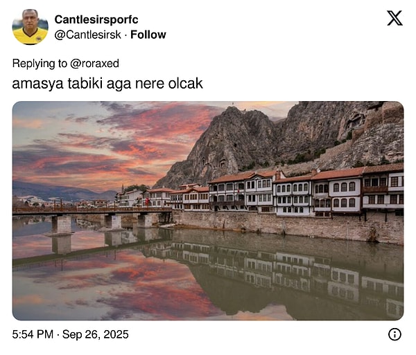 👇🏻