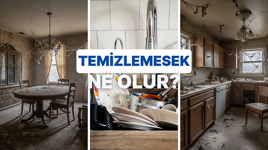 1 Yıl Boyunca Evde Hiç Temizlik Yapmazsak Ne Olur?