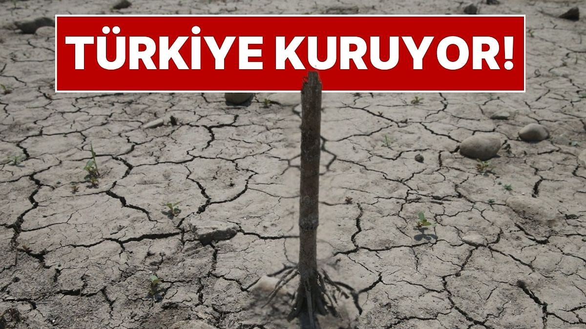 Türkiye&apos;de Büyük Kuraklık Tehlikesi: Barajlarda Doluluk Oranları Alarm Veriyor! Susuzluk Başladı