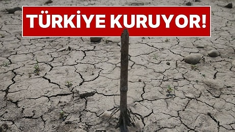 Türkiye'de Büyük Kuraklık Tehlikesi: Barajlarda Doluluk Oranları Alarm Veriyor! Susuzluk Başladı
