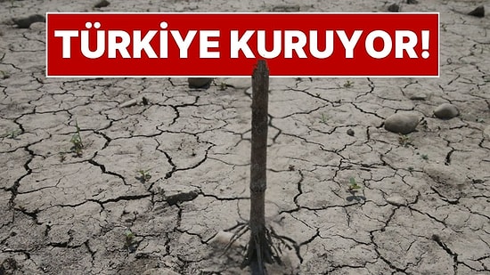 Türkiye'de Büyük Kuraklık Tehlikesi: Barajlarda Doluluk Oranları Alarm Veriyor! Susuzluk Başladı