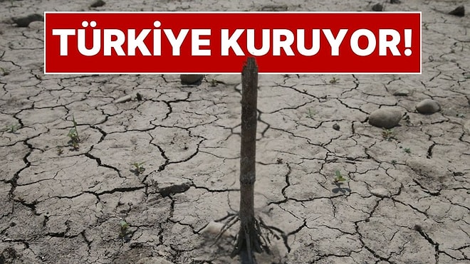 Türkiye'de Büyük Kuraklık Tehlikesi: Barajlarda Doluluk Oranları Alarm Veriyor! Susuzluk Başladı