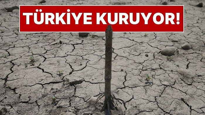 Türkiye'de Büyük Kuraklık Tehlikesi: Barajlarda Doluluk Oranları Alarm Veriyor! Susuzluk Başladı