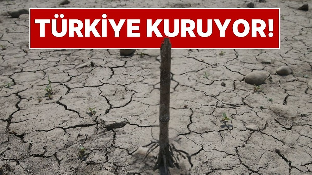 Türkiye'de Büyük Kuraklık Tehlikesi: Barajlarda Doluluk Oranları Alarm Veriyor! Susuzluk Başladı