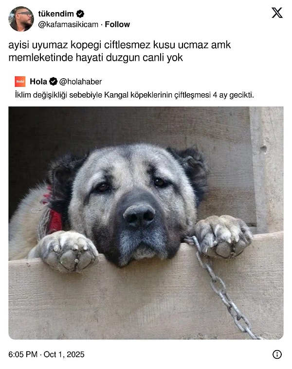 Ülkecek iyi değiliz.