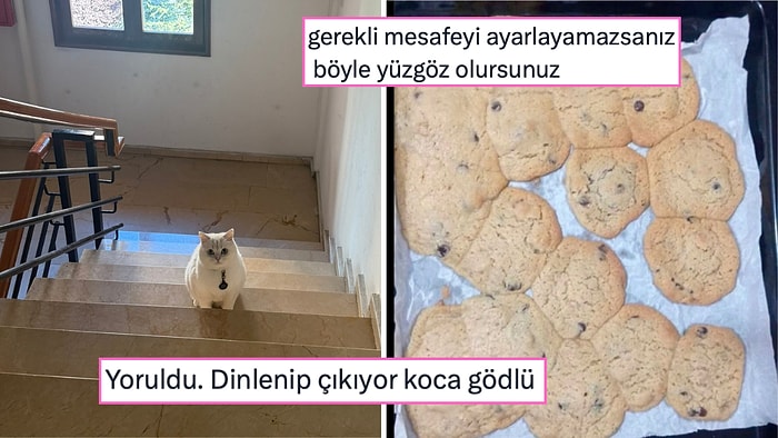 Doğrusunu Unutturan Yazım Yanlışından 10. Sınıftan Sonra Yönünü Kaybedene Son 24 Saatin Viral Tweetleri