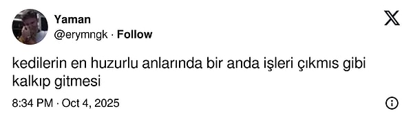 Hep meşguller çünkü.