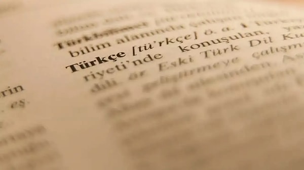 4. Hangisi TDK sözlüklerinde tanımı olan bir fiil değildir?
