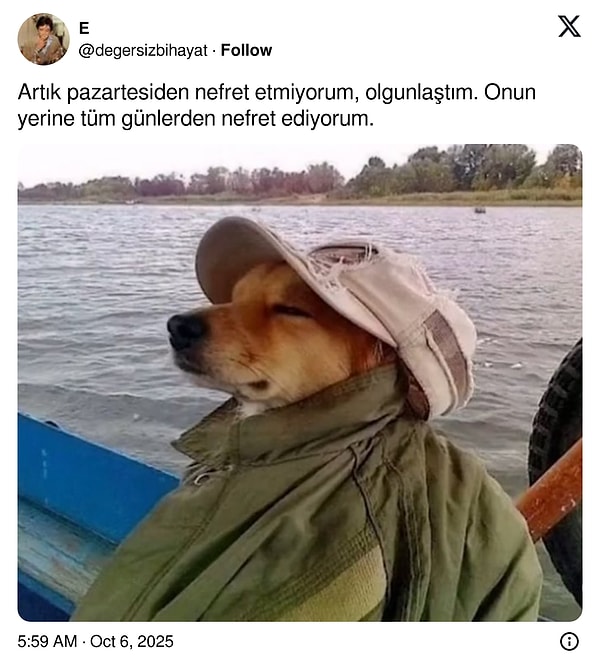 Arada bir aydınlanma gelebiliyor...