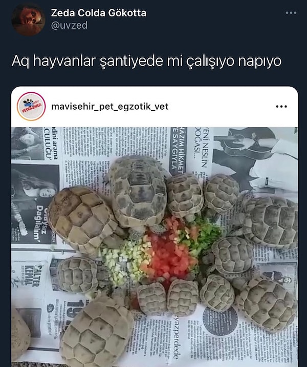İlginç benzetmeler de...