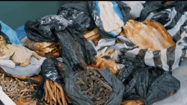 İstanbul Havaalanı’na gelen çiftin bavullarından çıkanlar herkesin midesini bulandırdı.
