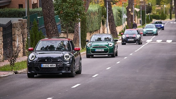 Mini Ekim Ayı Fiyat Listesi
