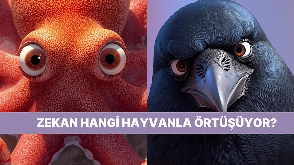 Bu Test Zihninin Hangi Hayvanla Aynı Çalıştığını Söylüyor!