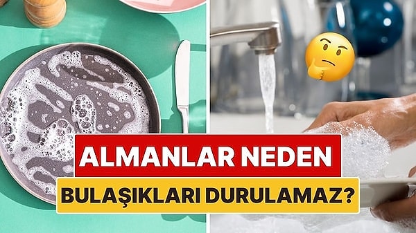 1. Almanlar Neden Bulaşıklarını Köpükledikten Sonra Durulamaz?