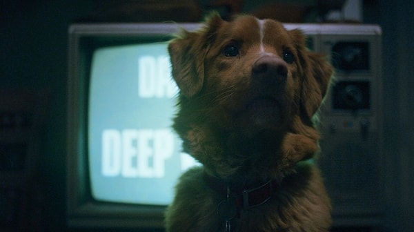 Good Boy filmi vizyona girmesiyle beklenmedik bir ilgi gördü ve herkes filmi konuşmaya başladı.