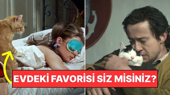 Kendinize Çok da Güvenmeyin: Kediniz Evde En Çok Kimi Seviyor?