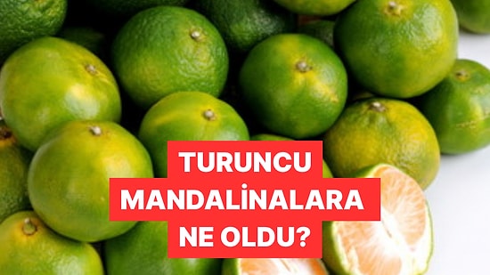 Peki Sebebi Ne? Sosyal Medyada Yeşil Mandalinaların Fazlalığı Tartışılıyor