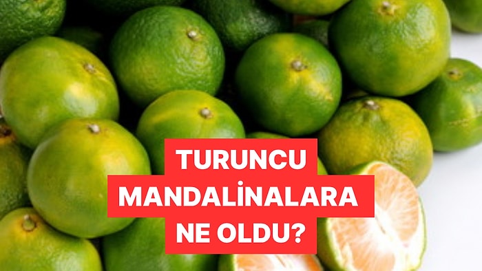 Peki Sebebi Ne? Sosyal Medyada Yeşil Mandalinaların Fazlalığı Tartışılıyor