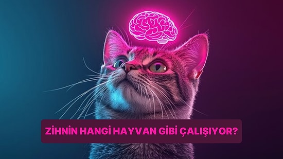 Zihninin Hangi Hayvan Gibi Çalıştığını Öğrenmek İçin Bu Soruyu Yanıtla!