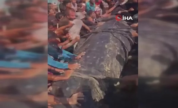 The fish that washed ashore in Gaza brought joy to the Palestinians who have been condemned to hunger.