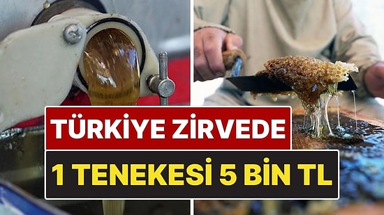 1 Teneke 5 Bin TL! Muğla, Dünyadaki Çam Balı Üretiminin %92’sini Karşılıyor