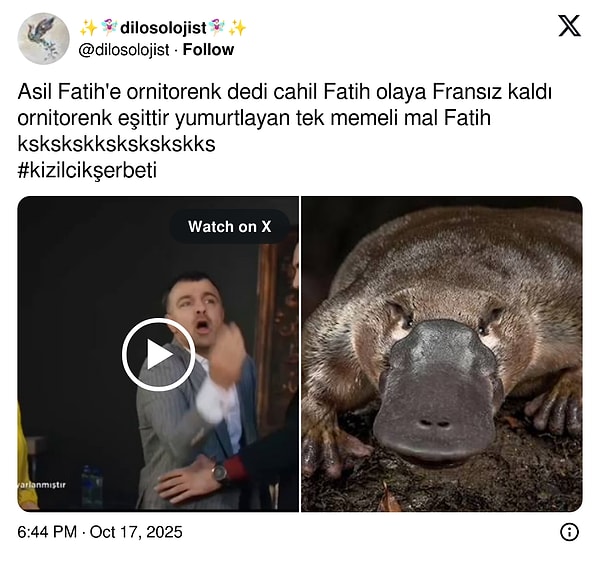 Asil ve Fatih iyi ikili oldular!