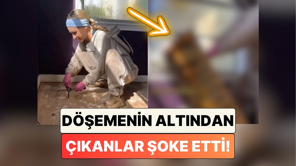 Gelen Sesten Şüphe Eden Aile Döşemenin Altından Çıkanları Görünce Şoke Oldu
