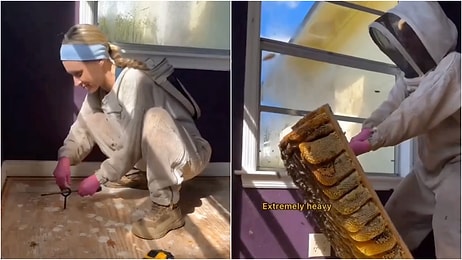 Family Suspicious of the Sound Was Shocked to See What Came From Under the Floor