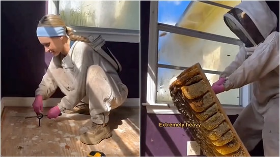 Family Suspicious of the Sound Was Shocked to See What Came From Under the Floor