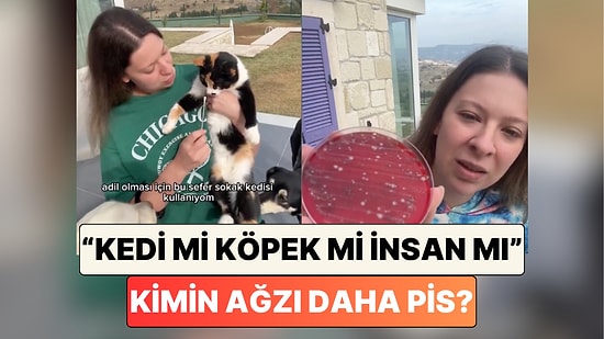Hangisi Daha Pis? Genetik Mühendisi Dilara Sarı, Kedi, Köpek ve İnsan Ağzından Aldığı Örneklerle Deney Yaptı