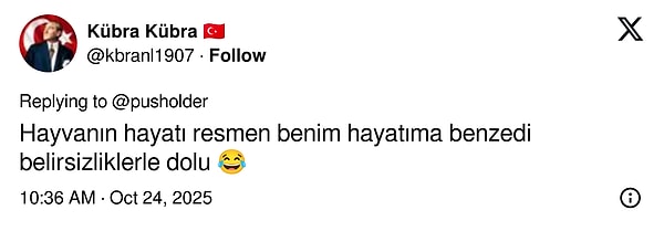 👇🏻