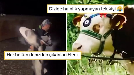 Taşacak Bu Deniz'i Mizahına Alet Ederek Hepimizi Güldüren Goygoyseverler